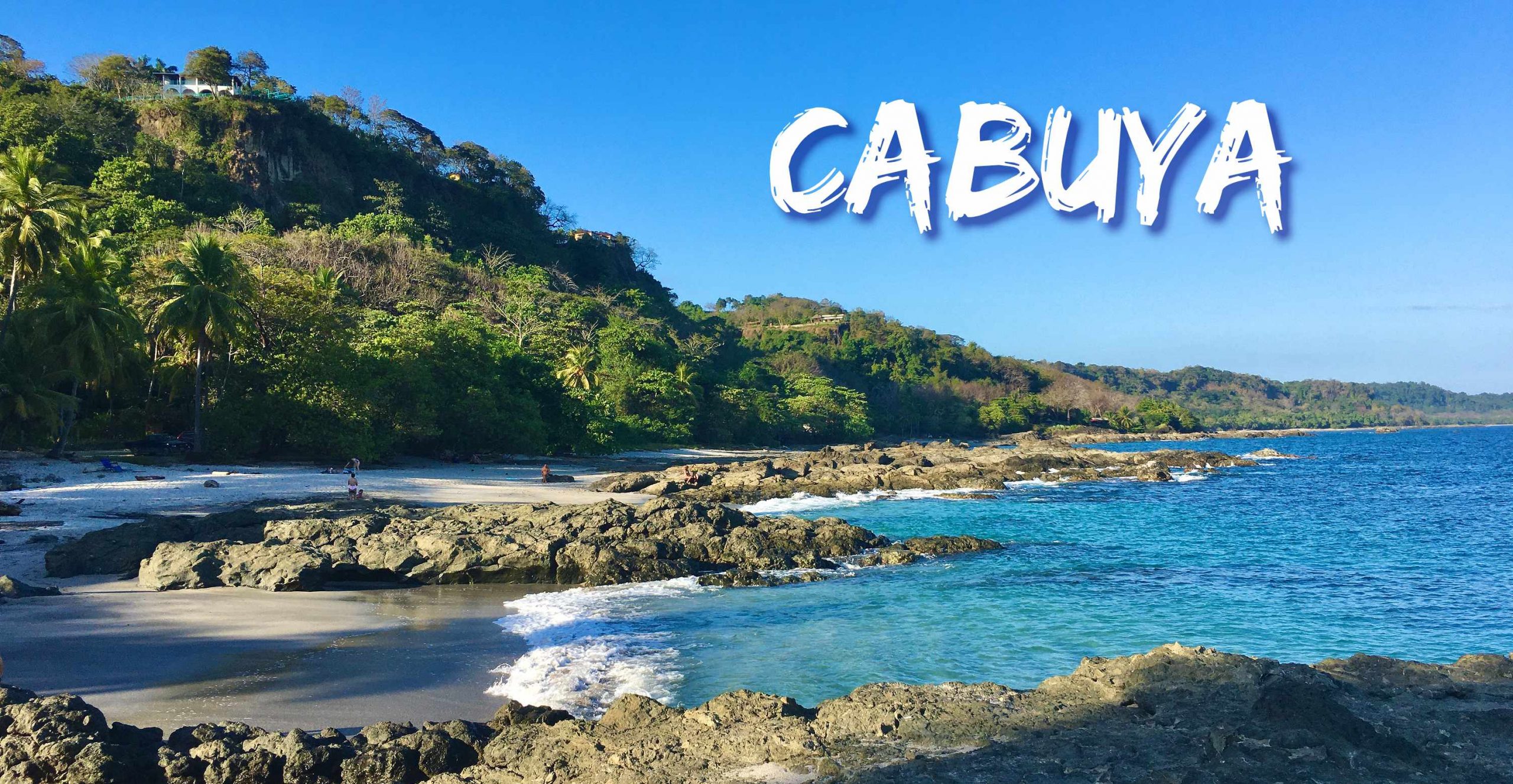 Leguane, Tukane, Brüllaffen, Skorpione,  Nasenbären und … laute Dschungelnächte in Cabuya (Teil 1)