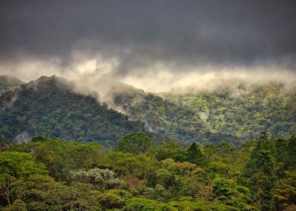 Parque Nacional Volcán Arenal: 274 km und 7,5 Stunden später